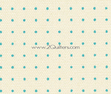 Load image into Gallery viewer, 14