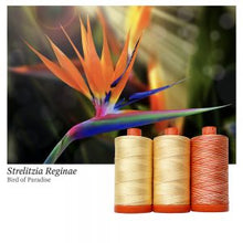 Load image into Gallery viewer, Aurifil Colour Builders: Bird of Paradise, 3-spool box