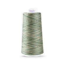 Load image into Gallery viewer, Maxi-Lock Swirls Serger Thread 3,000yds - Forestry Mint Variegated