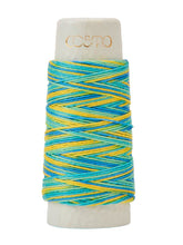 Load image into Gallery viewer, Lecien Hidamari Cosmo Sashiko Thread, Variegated Colours, 30m - 20 colours available