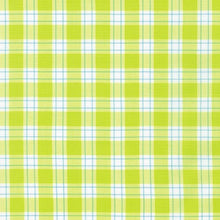 Load image into Gallery viewer, Kitchen Window Wovens, Plaid in Cactus, per half-yard