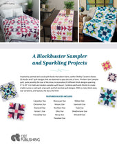 Load image into Gallery viewer, Barn Star Sampler Book by Shelley Cavanna