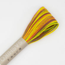 Load image into Gallery viewer, Olympus Sashiko Thread - 7 Variegated Colours (20m skein), Select Colour