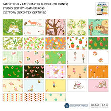 Load image into Gallery viewer, BUNDLE (Select Size): Heather Ross Studio Edit, 28 prints