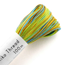 Load image into Gallery viewer, Olympus Sashiko Thread - 11 Variegated Colours (100m skein), Select Colour