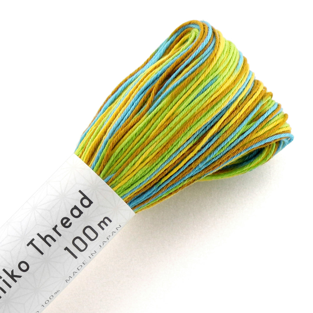 Olympus Sashiko Thread - 11 Variegated Colours (100m skein), Select Colour