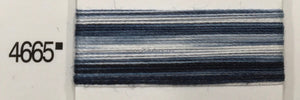 4665 (1)