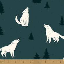 Load image into Gallery viewer, *Closeout Sale* Night Song, Nocturne in Slate, per half-yard