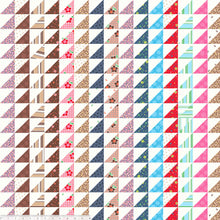Load image into Gallery viewer, Darling by Denyse Schmidt, Cheater Cloth, 36&quot; (LAST PIECE)