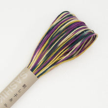 Load image into Gallery viewer, Olympus Sashiko Thread - 8 Short-Pitch Variegated Colours (20m skein), Select Colour