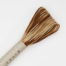 Load image into Gallery viewer, Olympus Sashiko Thread - 8 Short-Pitch Variegated Colours (20m skein), Select Colour