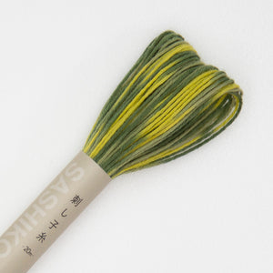 Olympus Sashiko Thread - 8 Short-Pitch Variegated Colours (20m skein), Select Colour