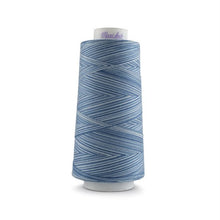 Load image into Gallery viewer, Maxi-Lock Swirls Serger Thread 3,000yds - Blueberry Cobbler Variegated