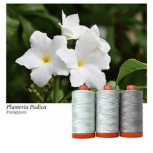 Load image into Gallery viewer, Aurifil Colour Builders: Frangipani, 3-spool box