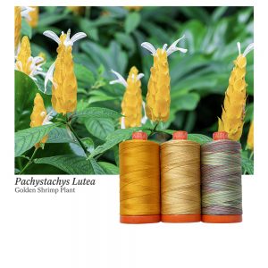 Aurifil Colour Builders: Golden Shrimp Plant, 3-spool box