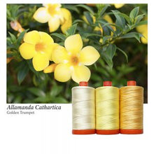 Load image into Gallery viewer, Aurifil Colour Builders: Golden Trumpet, 3-spool box