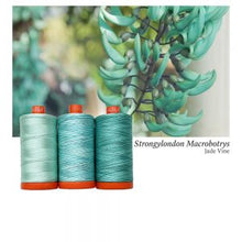 Load image into Gallery viewer, Aurifil Colour Builders: Jade Vine, 3-spool box