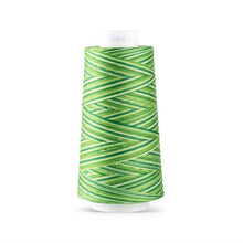 Load image into Gallery viewer, Maxi-Lock Swirls Serger Thread 3,000yds - Kiwi Twist Wave Variegated