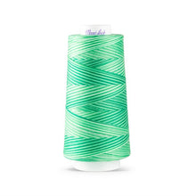 Load image into Gallery viewer, Maxi-Lock Swirls Serger Thread 3,000yds - Mint Julep Variegated