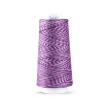 Load image into Gallery viewer, Maxi-Lock Swirls Serger Thread 3,000yds - Purple Berry Wave Variegated