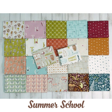 BUNDLE (Select Size): Windham Fabrics, Summer School by Judy Jarvi, 22 prints