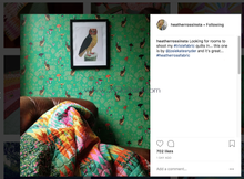 Load image into Gallery viewer, Trixie_Ista6