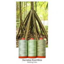 Load image into Gallery viewer, Aurifil Colour Builders: Walking Palm, 3-spool box