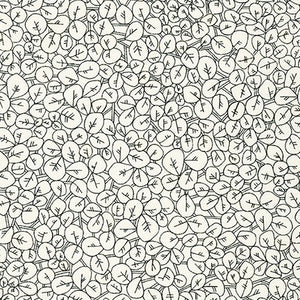 Collection CF, Cultivar in Pepper, 20" (LAST PIECE)