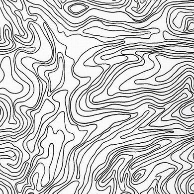 Collection CF, Contour in Black, per half-yard