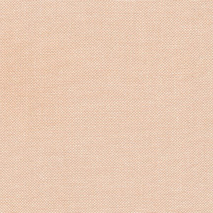 Harriot, Thick Woven Yarn Dyed in Lingerie, 1Y 28" (Last piece)