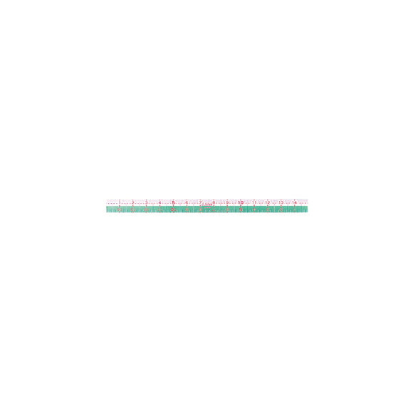 Curve Ruler Set w/ Mini Ruler